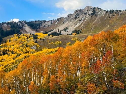 big cottonwood zane frey 2.jpg